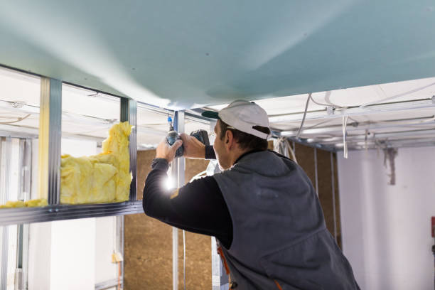 Best Eco-Friendly or Green Insulation Solutions  in Salem Lakes, WI