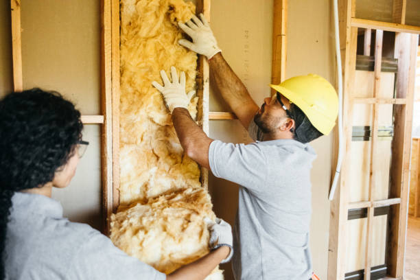 Best Commercial Insulation Services  in Salem Lakes, WI